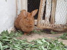 SAM_0471