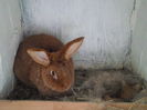 SAM_0484