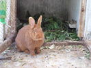 SAM_0503