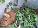 SAM_0518