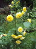 DSC00434