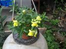 IMG_20150616_090854