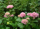 DSCN1199