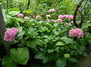 DSCN1231