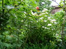 DSCN1302