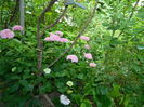 DSCN1358