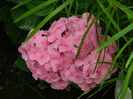 DSCN1424