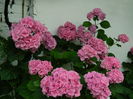 DSCN1426