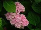DSCN1427