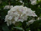 DSCN1587
