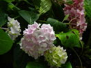 DSCN1678