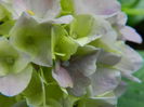 DSCN1681
