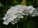 DSCN1689