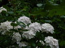 DSCN1728