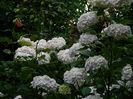 DSCN1730