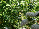 DSCN1820