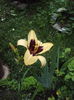 DSC01120