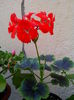 IMG_20150619_183323