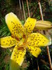 IMG_20150628_110658