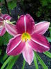IMG_20150629_081418