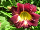 IMG_20150628_105847