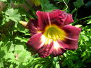 IMG_20150628_105826