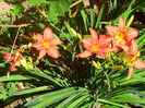 IMG_20150628_105934