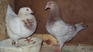 DSC07218