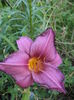 DSC04292