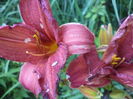 DSC04295