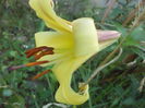 DSC04296