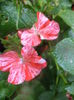 DSC04304