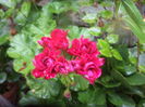 DSC04309