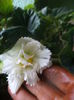 DSC04317