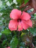 DSC04318