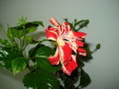 DSC02366