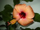 DSC02374