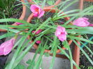 DSCN8090