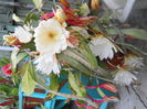 DSCN8092