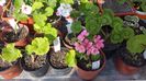 20150630_092902