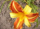 P1240879