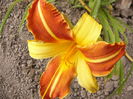 P1240880