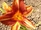 P1240884