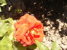 P1240885