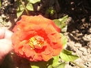 P1240886