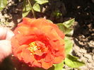 P1240887