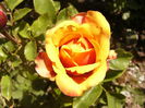 P1240888