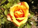 P1240889