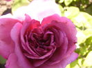P1240892