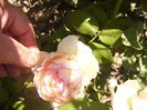 P1240895